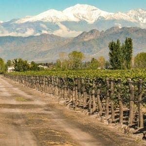 tribute-portfolio-latin-america