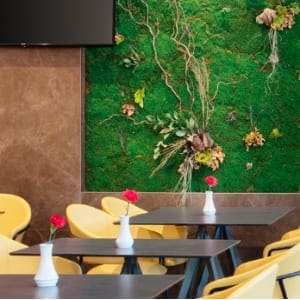 希尔顿花园酒店