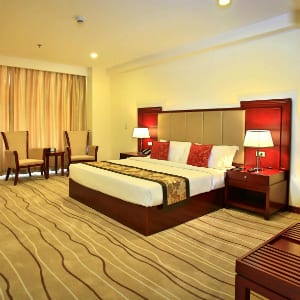 Swiss-Bel半岛手机端下载hotel-Blulane