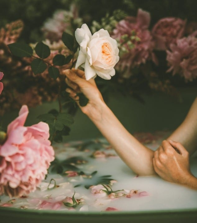 紫檀庆祝世界健康日