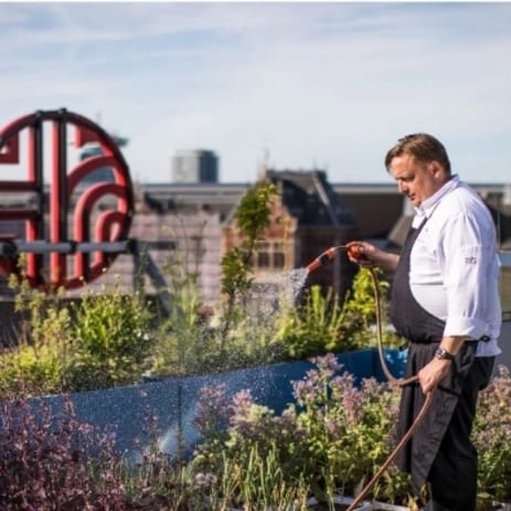 到20半岛手机端下载30年，NH酒店将减少20%的碳排放