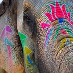 Virtuoso Wanderlist 2020