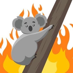 STR_森林大火对新南威尔士州酒店绩效的影响半岛手机端下载