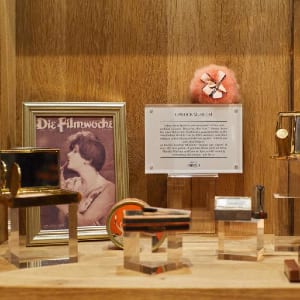 由音乐家、艺术家和当地专家策划