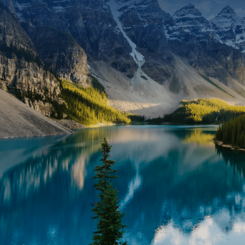 COVID-19对全球的影响旅游、停滞的成本