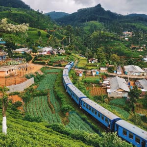 斯里兰卡和格林纳达收到WTTC安全协议的安全旅行邮票