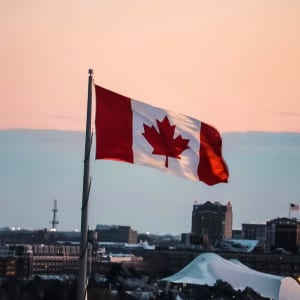 加拿大酒店结果半岛手机端下载