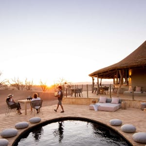 荒野狩猎甜点撤退