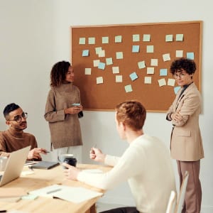 教训行业流行幸存下来