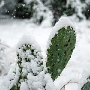 德州冬季酒店业绩半岛手机端下载