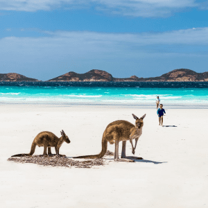 澳大利亚旅游局营销提升
