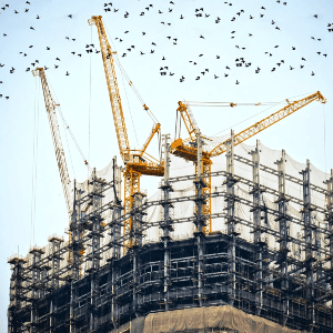 半岛手机端下载酒店建筑