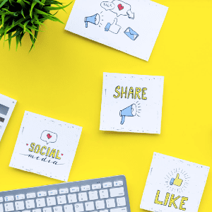 联合国世界贸易组织facebook合作伙伴关系