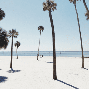 美国酒店的半岛手机端下载结果