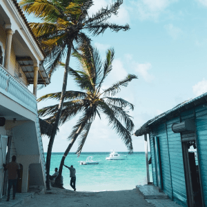 旅游业重新出现在美洲