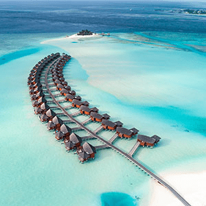 Minor 半岛手机端下载bd手机版网页有限责任公司Hotels SiteMinder