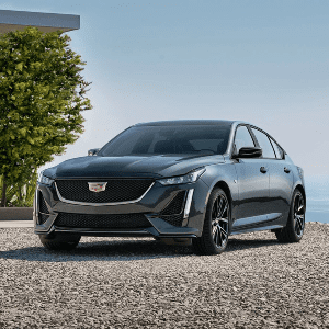 蒙太奇酒店卡迪拉半岛手机端下载bd手机版网页有限责任公司克