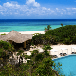 PalmaïAï的艺术大师