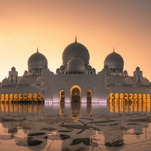 6月阿布扎比酒店入住半岛手机端下载率