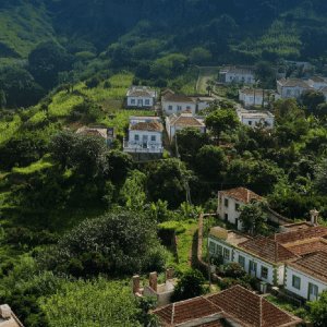 半岛手机端下载酒店投资