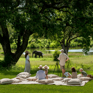 Singita别墅的私人收藏