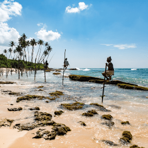 非洲丽笙酒店bd手机版网页有限责任公司半岛手机端下载