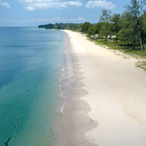 老鼠Desaru海岸改造