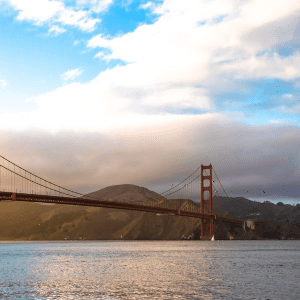 美国酒店入半岛手机端下载住率