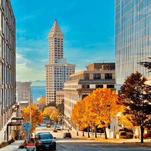 美国酒店的半岛手机端下载结果