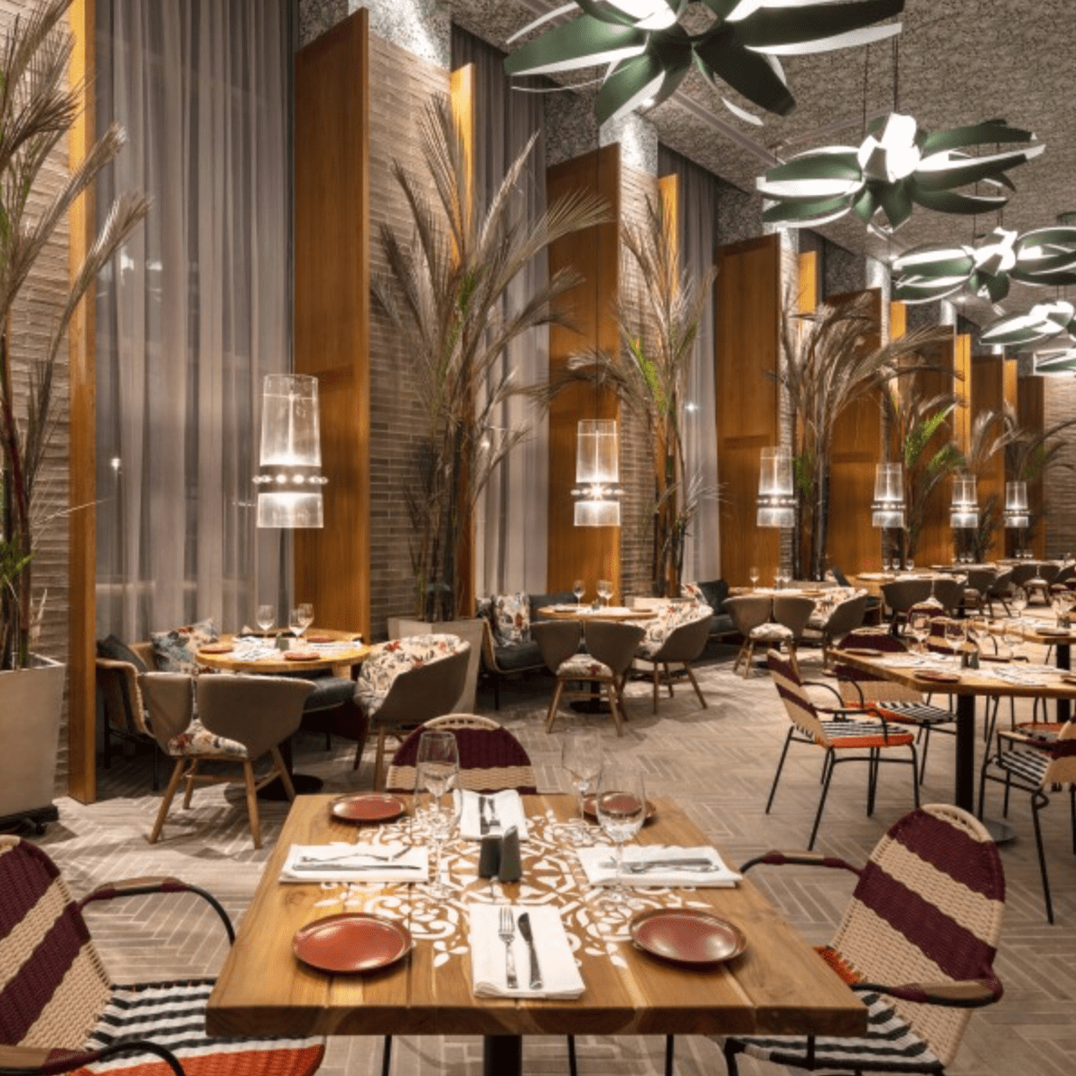 巴兰基利亚万豪酒店半岛手机端下载