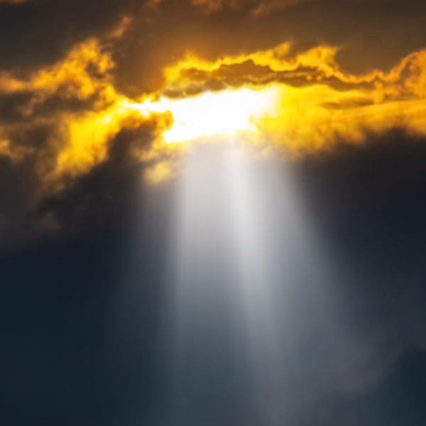 单的客人来源的事实