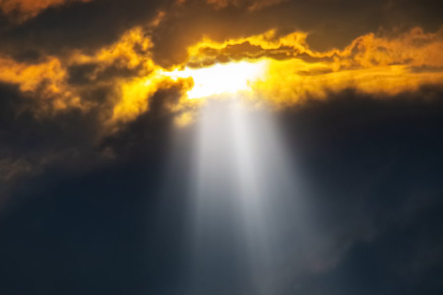 单的客人来源的事实