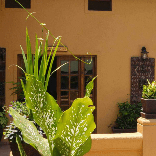 CityBlue酒半岛手机端下载bd手机版网页有限责任公司店