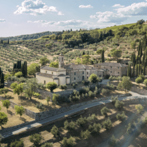 精品酒店半岛手机端下载