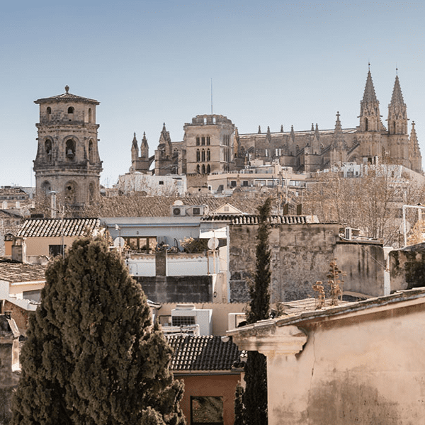 Nobis酒半岛手机端下载店