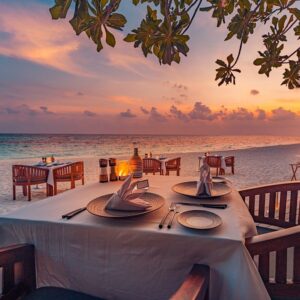 饭店外面的客人半岛手机端下载